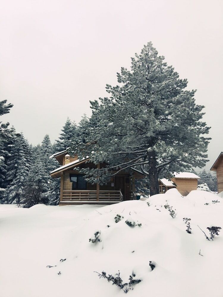 Lodge Uludag Orman Koskleri