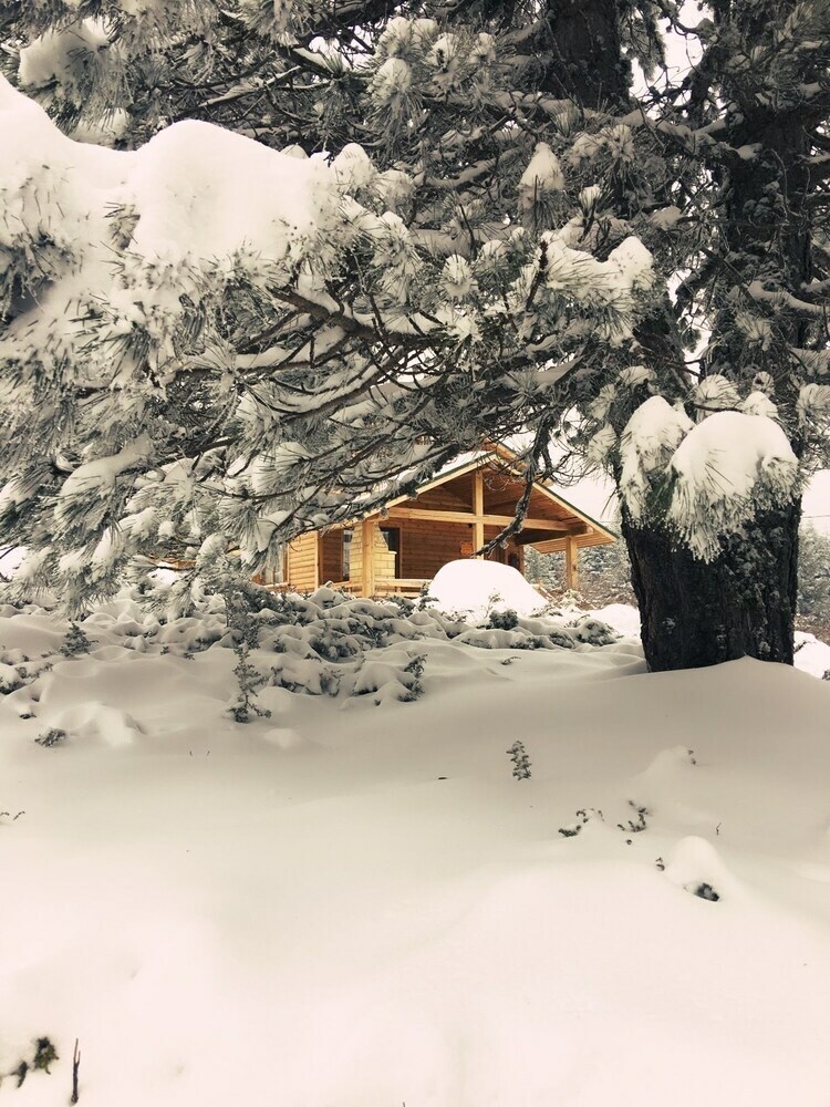 Lodge Uludag Orman Koskleri