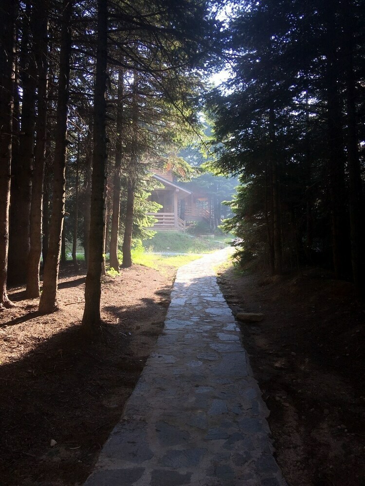 Lodge Uludag Orman Koskleri