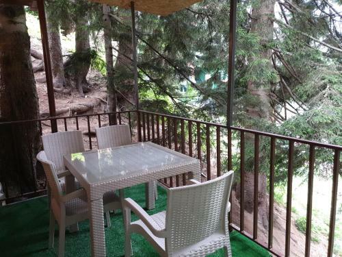 Hotel Ayder Doga Resort