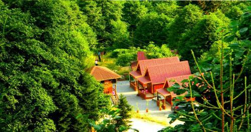 Bed & Breakfast Ayder Selale Dag Evi