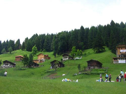 Ayder Resort Hotel