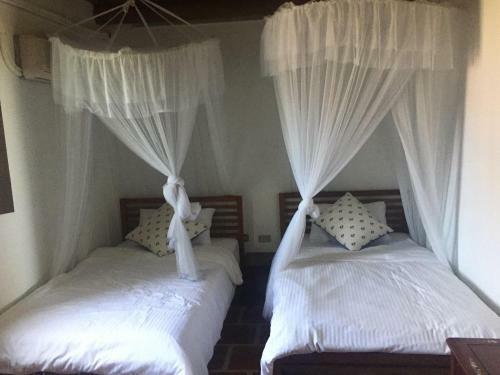 Bed & Breakfast Lexis Inn