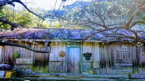Bestime B&B