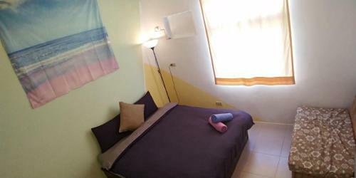 Barely Awake Hostel