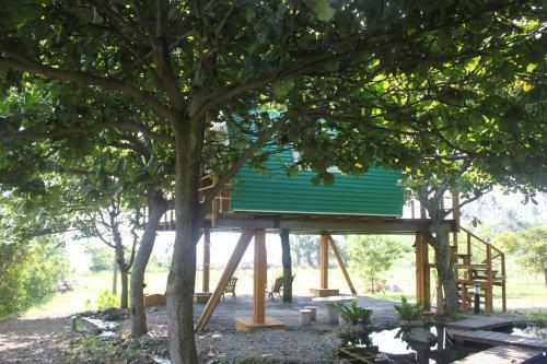Knt House