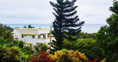 Beautiful Little Horse Villa