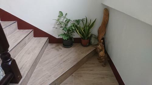 Ho Hai Yan Homestay