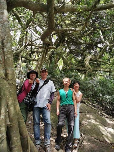 Ho Hai Yan Homestay