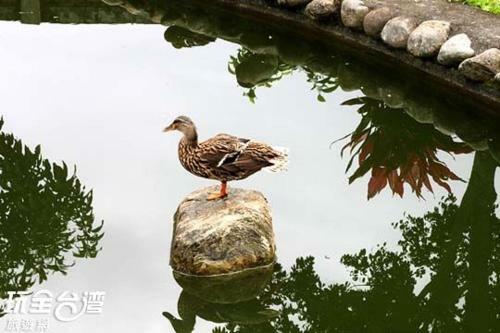 Taidong Han Yuan Homestay