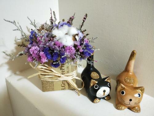 Fat Cat B&B