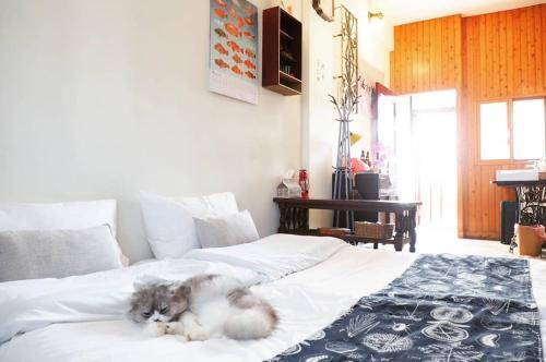 ????blank Slate B&b-?????????