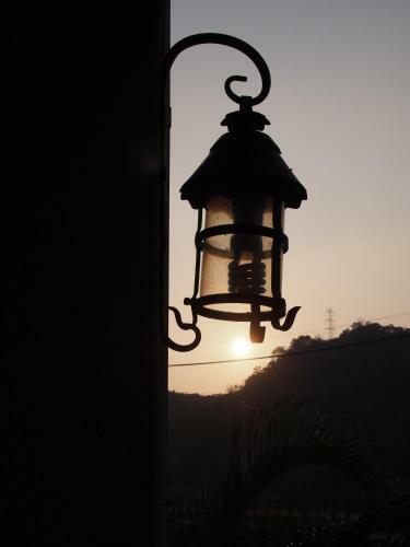 Bed & Breakfast Palm Villa Guesthouse