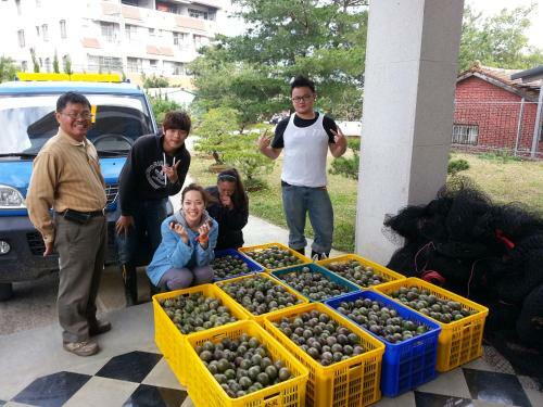 Bed & Breakfast Songfeng Xiuxian Homestay