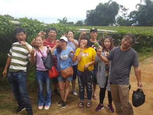 Bed & Breakfast Songfeng Xiuxian Homestay