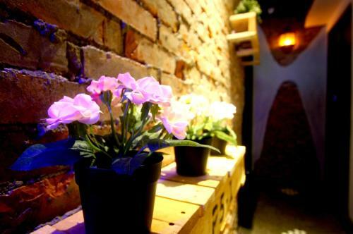 Apartamento Color Hostel