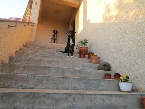 Apartamento Teigur Guesthouse