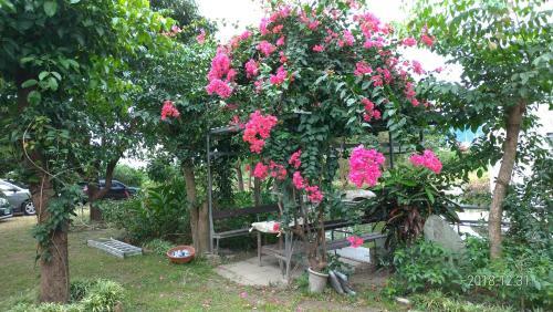 Happy Come To B&B