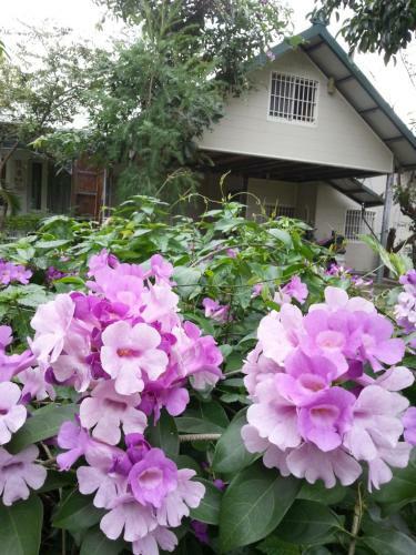 Happy Come To B&B