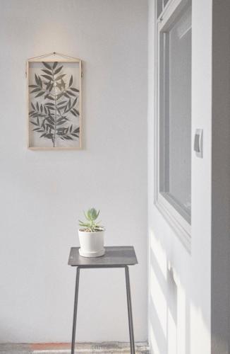 Albergue The Door Inn