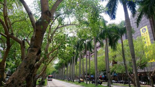 Apartamento Bnb Tpe