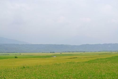 Pu Shi Homestay