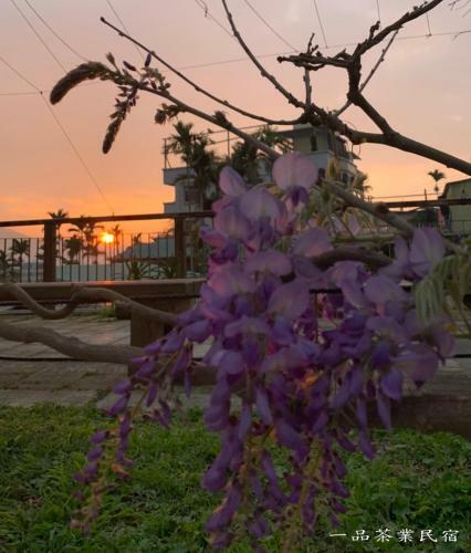 Epintea Homestay