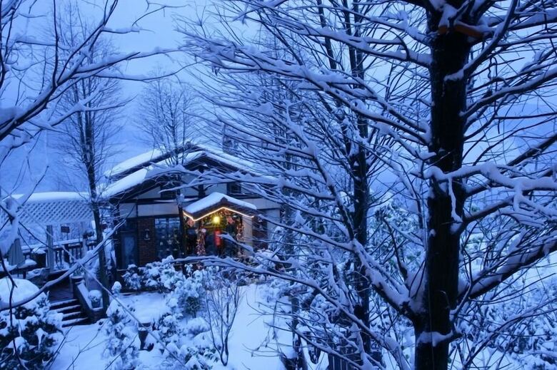 Bed & Breakfast Oncoming Luck Villa