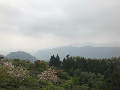 Zhu Yuan Homestay