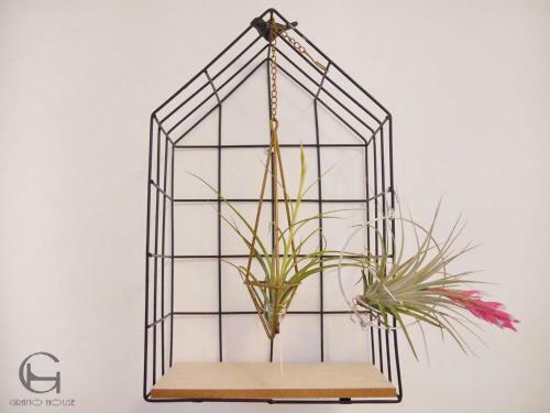 Albergue Grano-house