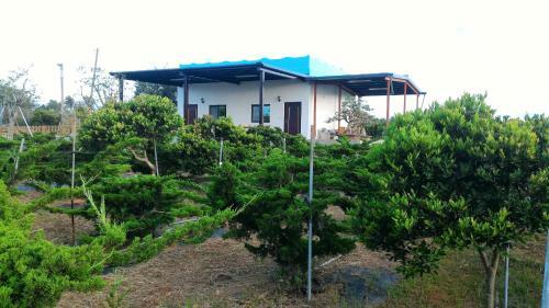 Nature Garden Homestay
