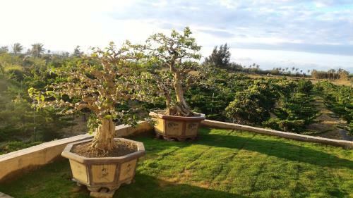 Nature Garden Homestay
