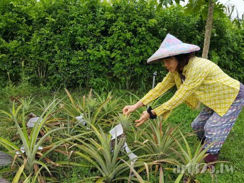Yi Tian Homestay