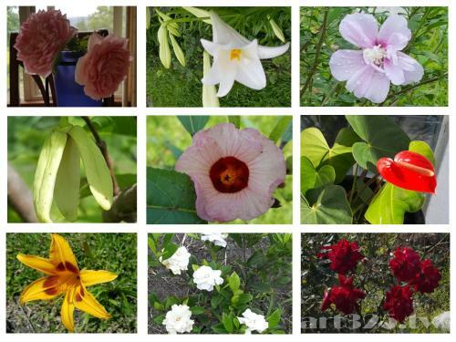 Yi Tian Homestay
