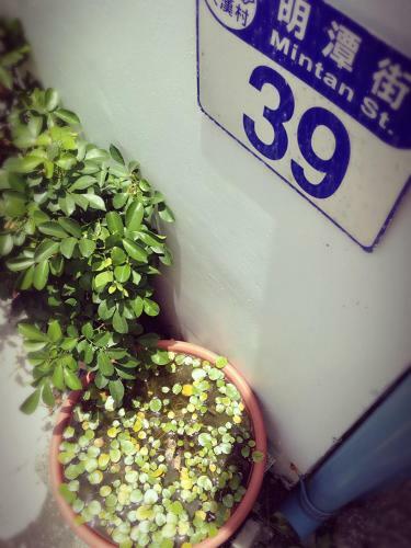 Mingtan 39 Homestay