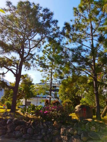 Pine Garden Family Villa