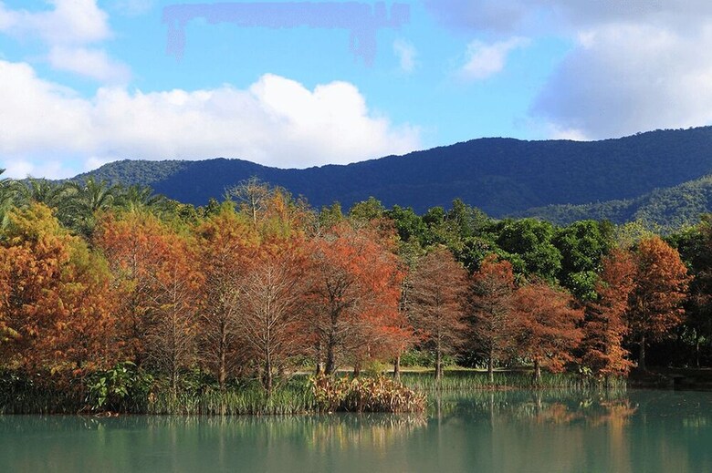 Agroturismo Villa 88
