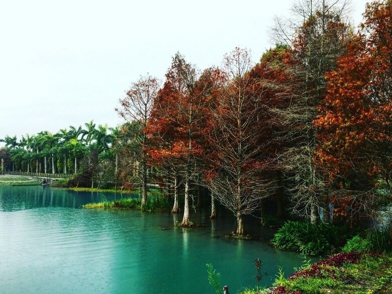 Agroturismo Villa 88
