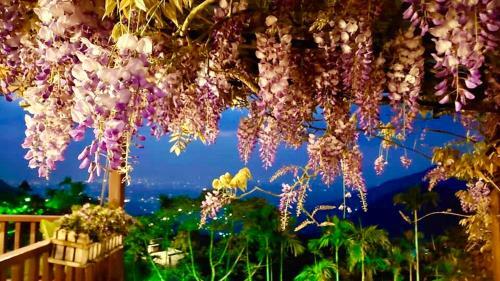 Starlight Forest B&B