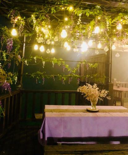 Starlight Forest B&B
