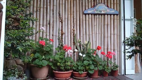 Sanhua B&B