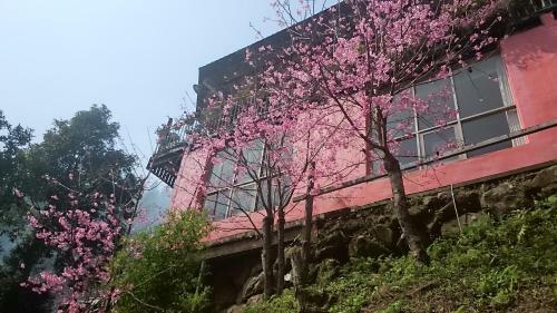 Sanhua B&B