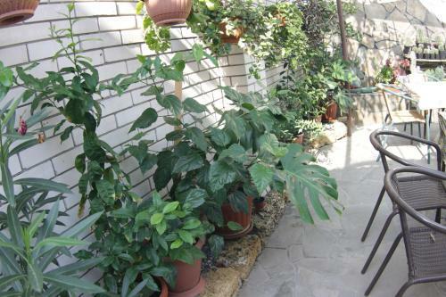 Hostal Villa Svetlana