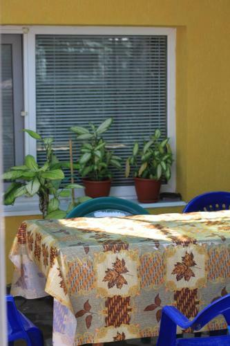 Hostal Villa Svetlana