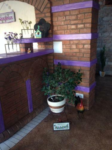 Hostal Guest House Bonjour