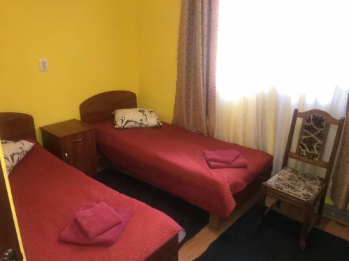 Hotel Domino
