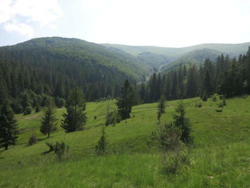 Hostal Sadyba Volosky Potik