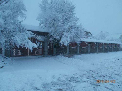 Hostal Sadyba Volosky Potik