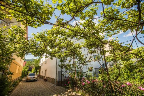 Hostal Guest House In Drachino