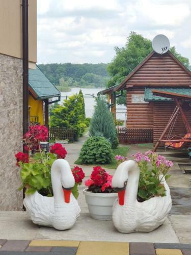 Lodge Ant�lenka